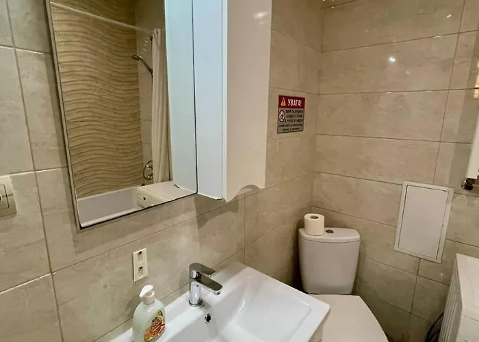 公寓 Hotelroom 32 *